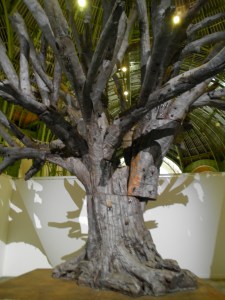 SANYO DIGITAL CAMERA