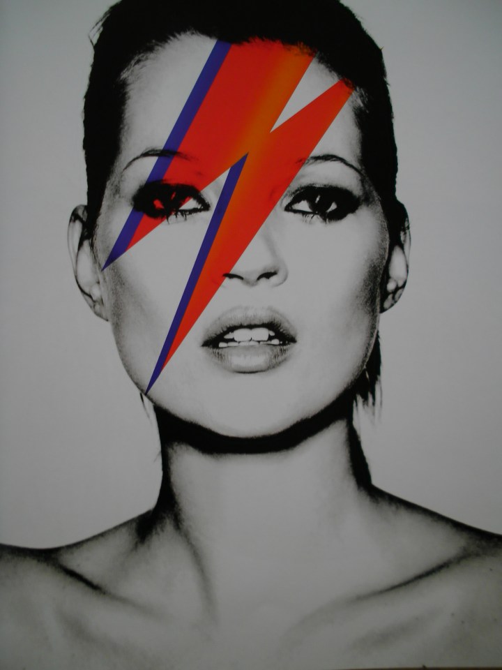 SANYO DIGITAL CAMERA