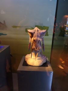 SAMSUNG CAMERA PICTURES