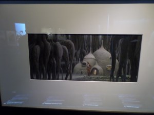 SAMSUNG CAMERA PICTURES