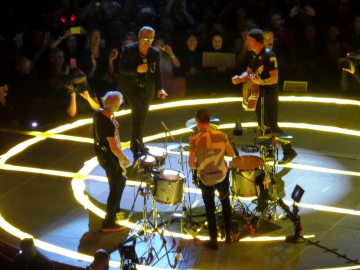 IMG_20151208_201007.jpg image