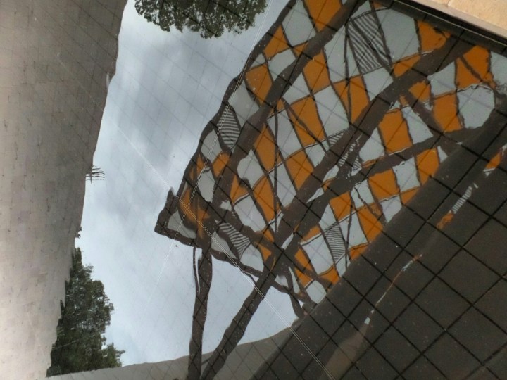 IMG_20160523_200213.jpg image